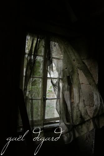 imageForum