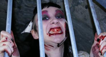 Horror Nurse Laboratories - Photo Ga&euml;l Digard