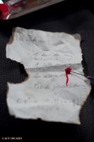 Les secrets de la Sorci&egrave;re dans Blanche-Neige - Photo Ga&euml;l Digard