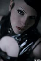 Lexy_Inc