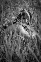 Faune Sauvage - Photo Ga&euml;l Digard