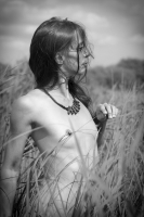 Faune Sauvage - Photo Ga&euml;l Digard