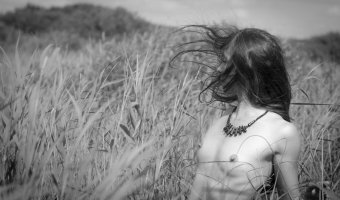Faune Sauvage